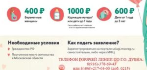 На какую сумму выдают питание беременным 2020 в московской области