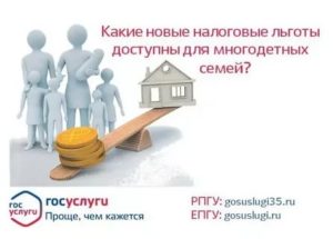 Льготы По Налогам Для Многодетных Семей В Татарстане