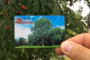 Что Дает Социальная Карта Жителя Московской Области В 2020