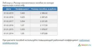 Минимальная Пенсия По Потере Кормильца В 2020 В Башкирии