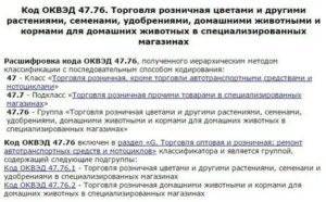 Оквэд для продуктового магазина для ип