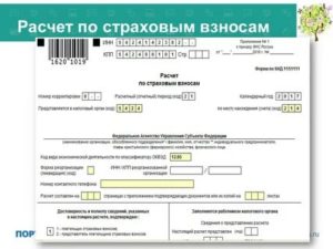 Примеры Заполнения Нулевого Отчета По Страховым Взносам В 2020г.