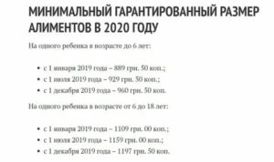 Размер Алиментов На 1 Ребенка В 2020 Году С Не Работающего