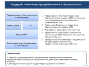 Программа Помощи Начинающим Предпринимателям