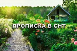 Прописаться В Снт