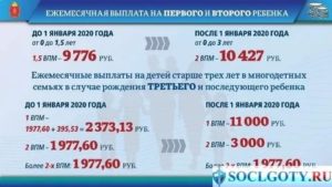 Путинские Выплаты На Второго Ребенка В 2020