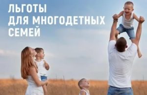 Льготы Многодетным Семьям В Беларуси В 2020