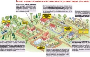 Что Должно Быть Построено На Арендованной Земле Для Выкупа