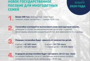 Указа № 431 помощь многодетным в 2020 году