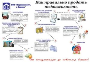 Продажа Квартиры Пошаговая Инструкция Для Продавца