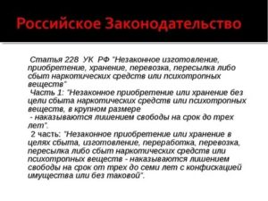 Статья 228 часть 2 уголовного кодекса рф наказание