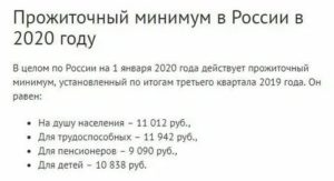 Прожиточный Минимум Работающего Человека В Башкирии 2020 Год