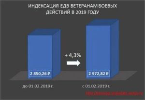 Что Входит В Набор Социальных Услуг Ветеранам Боевых Действий В 2020 Году