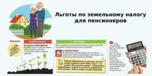 Налог за землю на даче для пенсионеров в алтайском крае 2020