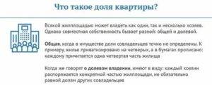Продажа Доли Квартиры Бывшей Жене В 2020 Году