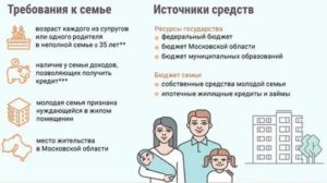 Какие бонусы можно получить от государства молодой семье