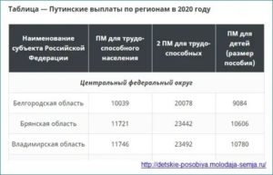 Путинское Пособие На Третьего Ребенка В 2020 Году