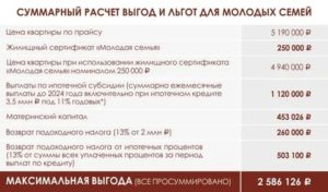 Какие выплаты положены молодой семье от государства в 2020 году