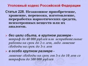 Статья 228 часть 2 ук рф 2020 последние поправки
