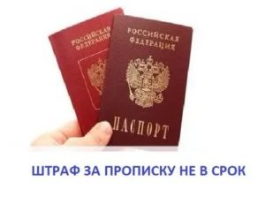 Штраф За Непрописку Ребенка В 2020 Году