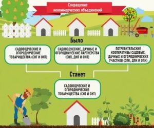Снт Как Оформить Землю Общего Пользования В Собственность 2020 Году