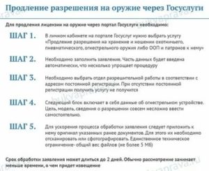 Стоимость Продления Разрешения На Охотничье Оружие