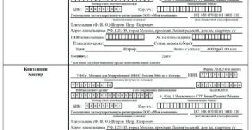 Оплата госпошлины иным лицом