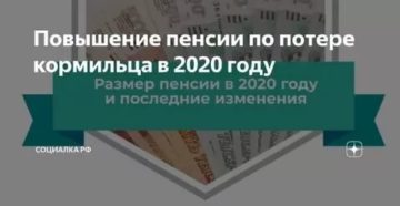 Социальная Стипендия По Потере Кормильца 2020 Г