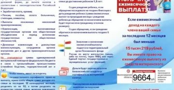 Пенсионный фонд московской области выплаты при рождении второго ребенка