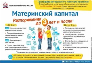 Материнский Капитал До Скольки Лет Выдают