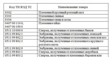 Список Препаратов Подлежащих Налоговому Вычету