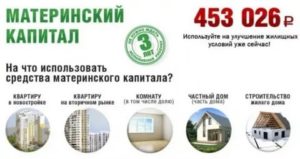 Можно ли купить дом в деревне на материнский капитал в 2020 году