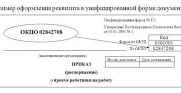 Организационноправовая форма по инн узнать