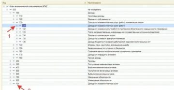 Справочник Кэк В Бюджетном Учете Расшифровка 2020