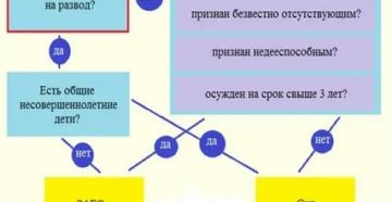 Развод С Чего Начать Если Есть Дети