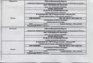 Сколько Стоит Госпошлина На Восстановления Паспорта При Утере