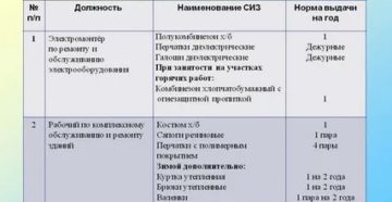 Чем Регулируется Выдача Сиз В 2020 Году В Детском Саду