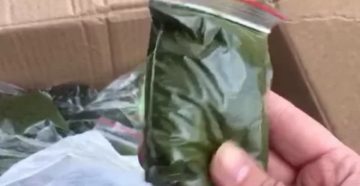 Уголовная ответственность за продажу насвая с 2020 года