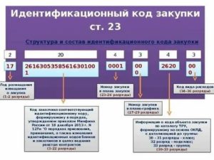 Что Такое Идентификационный Код Закупки По 223 Фз Пример