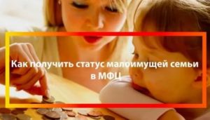 Как узнать свой статус малообеспеченной семьи в мфц