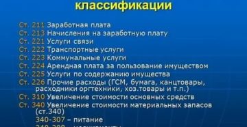 Что Такое Косгу 221 В Бюджете Расшифровка