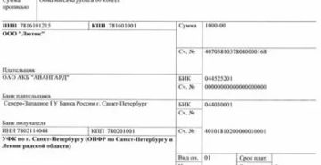 Штраф В Пфр По Отчету Сзв М Платежное Поручение Статус