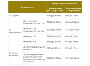 Социальная пенсия в 2020 году размер в черноб