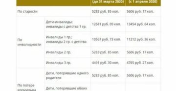 Социальная пенсия в 2020 году размер в черноб