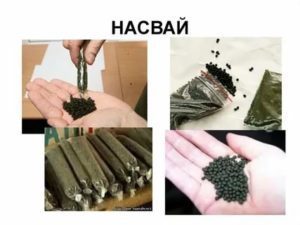 В Школе Продают Насвай
