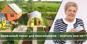 Налог за землю на даче для пенсионеров в алтайском крае 2020