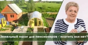 Налог за землю на даче для пенсионеров в алтайском крае 2020