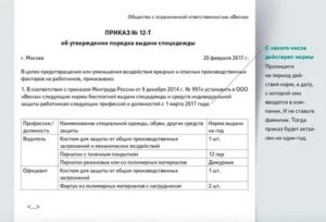 Приказ о выдаче сиз в образовательном учреждении