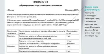 Приказ о выдаче сиз в образовательном учреждении