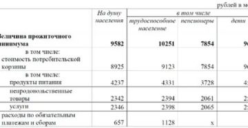 При расчете прожиточного минимума учитывается ипотека